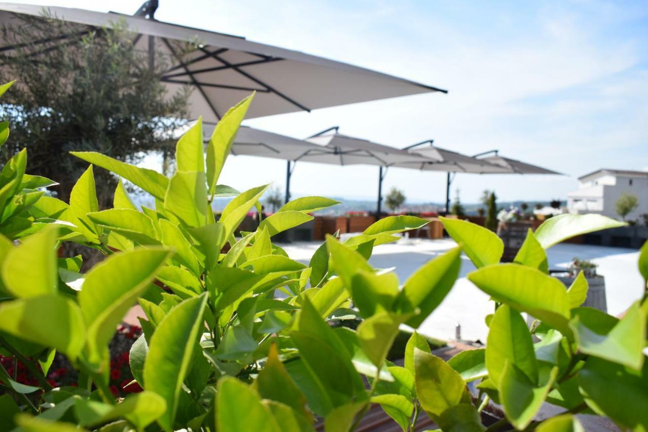 Chateau Linza Resort ティラナ エクステリア 写真