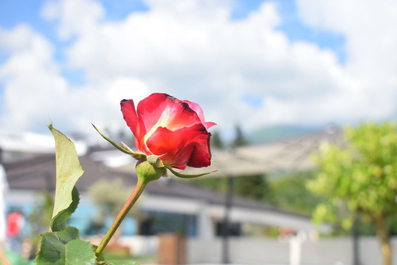 Chateau Linza Resort ティラナ エクステリア 写真